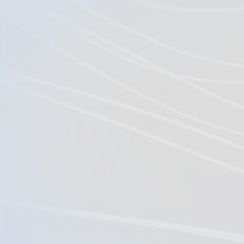 Pickleball Paddle - 030 - Omochi - NFC